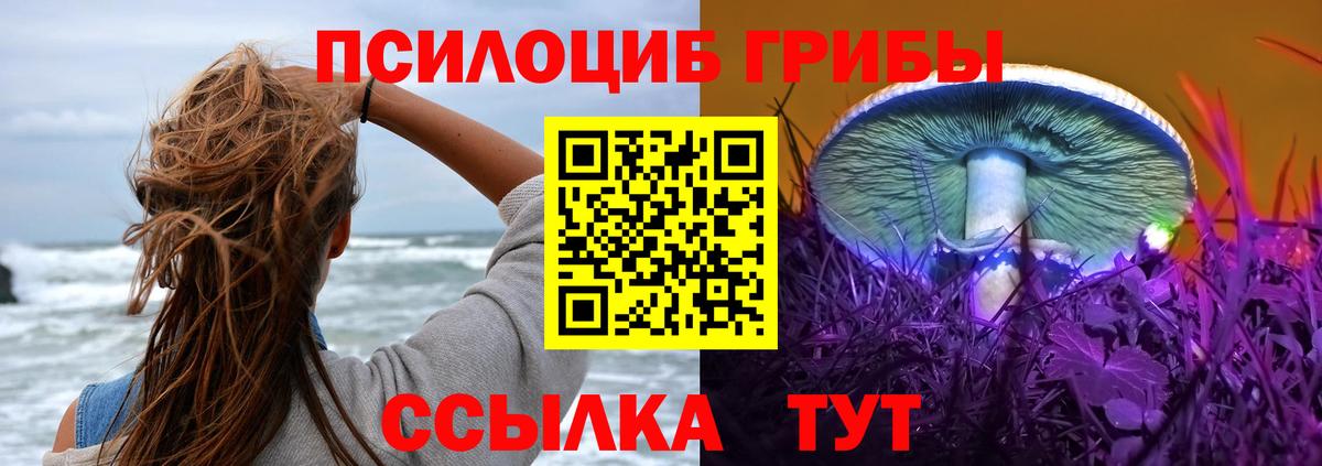 Псилоцибиновые грибы MAGIC MUSHROOMS Советская Гавань